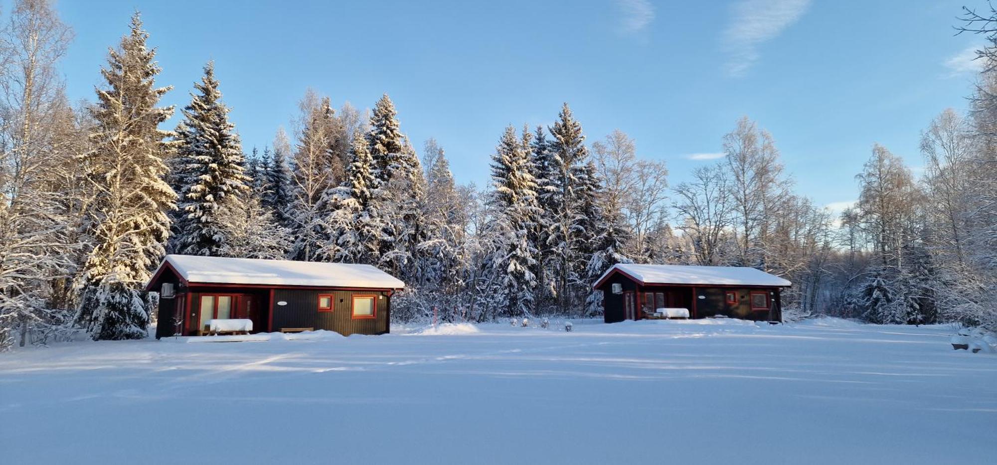 Nygard Cabins - Brandnew, Fully Equipped Home In Nature 孙讷 外观 照片